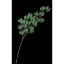 【造花】アスカ/老松 ナチュラル/A-74447-044【01】【01】【取寄】《 造花(アーティフィシャルフラワー) 造花枝物 松、竹 》