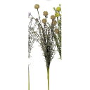 【造花】アスカ/ワイルドフラワーブッシュ #010B イエローブラウン/A-33478-10B【01】【取寄】造花(アーティフィシャルフラワー) 造花 花材「わ行」 その他「わ行」造花花材 手作り 材料