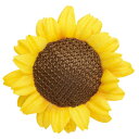 東京リボン/クリップひまわり大 6×6cm 20コ 1 イエロー/92915-1【01】【取寄】 花資材・道具 カード、シール カード立て