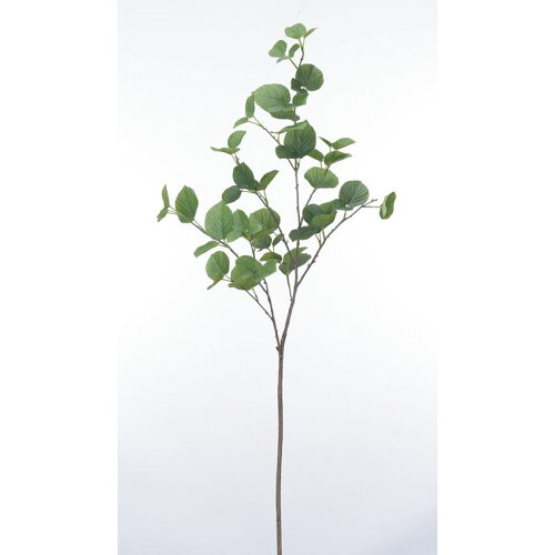 https://thumbnail.image.rakuten.co.jp/@0_mall/hanadonya-associe/cabinet/133/051-22570.jpg?_ex=500x500