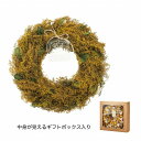 【ドライ】GREENHOUSE/ナチュラルリース L (1) ミモザ風/4985-A【01】【取寄】 花器、リース リース完成品 天然素材 ミモザの日