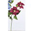 【造花】アスカ/A-32651 クレマチスX2 #026 フッシャ/A-32651-026【01】【01】【取寄】《 造花(アーティフィシャルフラワー) 造花 花材「か行」 クレマチス 》