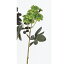【造花】アスカ/ポンポンローズ×11 NO.051A グリ−ン/A-31959|造花 バラ【01】【取寄】《 造花(アーティフィシャルフラワー) 造花 花材「は行」 バラ 》