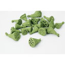 即日 【ドライ】大地農園/ミニハス・約2cm 約20個 ライトグリーン/22420-712