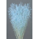 即日★【プリザーブド】大地農園/ソフトミニカスミ草 22g ラベンダー/00010-410【00】《 プリザーブドフラワー プリザーブドフラワー花材 カスミ草 》