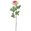 【造花】YDM/ラナンキュラス クリームピンク/FA6741-CRP【01】【01】【取寄】《 造花(アーティフィシャルフラワー) 造花 花材「ら行」 ラナンキュラス 》