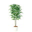 【直送】【人工観葉植物】アカシアデュアル200(器タイプ:RP-300)98975※画像は器タイプ(RP)器要確認※返品・代引不可【07】【07】《 造花(人工観葉植物) 人工観葉植物「あ行」 アカシア 》
