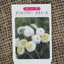 ダイヤーズカモマイル(コウヤカミツレ紺屋カミツレ・イエローカモマイル) ハーブ苗 9vp Dyer's Chamomile