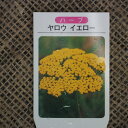 コモンヤロウ・レッド(ヤローレッド・セイヨウノコギリソウ) ハーブ苗 9vp Common Yarrow Red