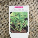 バラの苗/バラに合うハーブ苗:イタリアンパセリ3?3.5号ポット1株