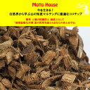 ココチップマルチング 雑草防止 病害虫予防