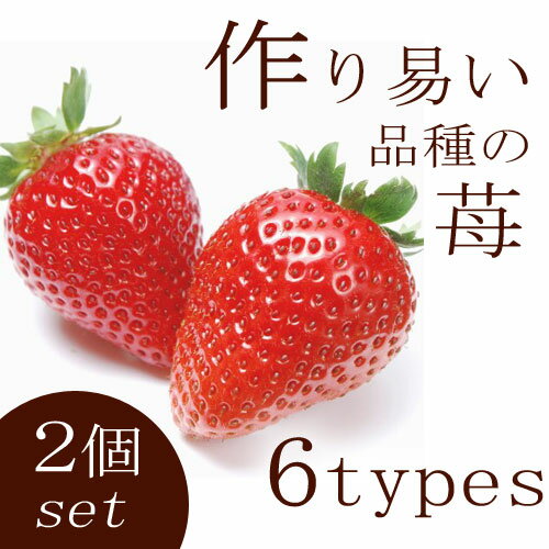 cy2Zbgz ƒ؉ōՂi 3|bgc@2|bgZbg ͕PÊEƂƂ߁EƂ̂EE𑁐 C`S  K[fjO ƒ؉ x_؉ v^[ ؕc