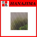 【期間限定ポイント2倍】【即納】タキロン ポリカ波板【ブロンズマット 9尺】 「ポリカーボネート 波板」 鉄板小波 32波 幅655ミリX長さ2730ミリ 10枚セット 屋根材 外壁材に!【代引き不可】【着時間指定不可】