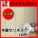 【期間限定ポイント2倍】★【楽天最安値挑戦】金属サイディング 木星(モクセイ)セリオス 『本体 10尺』長さ3048ミリ 1束 9.5平米 外壁の新築・リフォーム工事に! 日新総合建材】