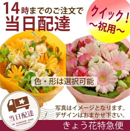 【14時までのご注文で本日お届け】【花束・アレンジ】きょう花特急便お祝い用【全国ネットワー…...:hanaki-web:10000054