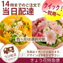 【14時までのご注文で本日お届け】【花束・アレンジ】きょう花特急便お祝い用【全国ネットワーク又はイーフローラでお届け】お誕生日/結婚祝い/出産/御祝/お見舞い/ペット/還暦/フラワーギフト/歓迎/退職/当日配達/即日配達/メッセージカード付き/【敬老の日】■