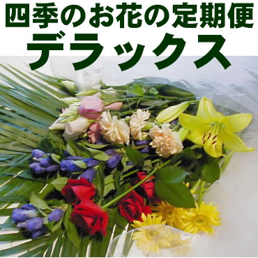 四季のお花の定期便【送料込み】デラックス