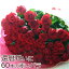 【送料無料】長寿のお祝い・還暦祝いに赤いバラ！ 赤バラ 60本の花束(等級S)