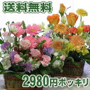 店長にオマカセ！そのまま飾れる季節のお花のアレンジメントお誕生日や御祝いにぴったりなフラワーギフト