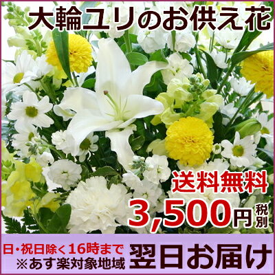 【送料無料】【お供え 花 あす楽対応】大輪 白ユリ お供え花(フラワーアレンジメント) 墓…...:hanakikyo:10000099