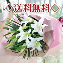 ★楽天1位★白の大輪百合（ユリ）の花束20リン以上　/母の日ギフト花宅配/プレゼント/誕生日/送別会/退職祝い/翌日配達/翌日配送★楽天1位★白いゆりの豪華な花束。お花は最低で20輪以上です。（開花と蕾の合計）/母の日ギフト/☆送料無料☆誕生日/送別会/