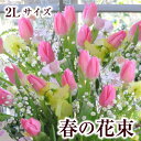 チューリップ 花束 誕生日 花 ギフト 入学式 卒園式 誕生日花 卒業祝い花 歓送迎会花 卒業祝い花束 チューリップ スイートピー 春の花 誕生日 花束 卒業祝い 入学式 送料無料 ブーケ 花 ギフト お返し プレゼント 合格祝い 送別会 転勤 異動 昇格 昇任 春の花束 2Lサイズ