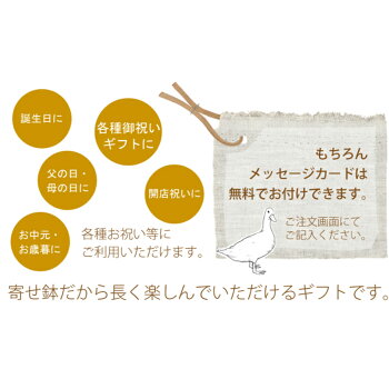 父の日花鉢おまかせ寄せ鉢ミックス父の日ギフト