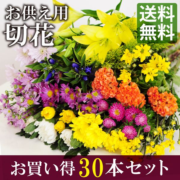 お供えの花 お供え切花セット B お悔やみの花 一周忌お供え花 命日花 四十九日お供え花 墓参りお供...:hanako:10000494