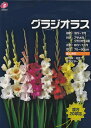 グラジオラス 混合20球入 福花園【春植球根】