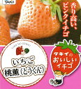 桃薫(とうくん)【イチゴ苗】3号ポットタキイ種苗...