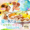 《夏こそ水たき!キャンペーン》楽天グルメ大賞2016受賞!博多華味鳥の水炊き・3〜4人前セット(送料無料)【博多華味鳥 公式SHOP】