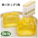 愛知 お土産 送料無料 奥三河しずく梅 10個入×5箱 愛知みやげ 三河みやげ ウメ うめ ゼリー 手土産 蓬莱梅 プレゼント JA愛知東 はなのき堂