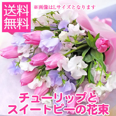 花束 チューリップ スイートピー 3Lサイズ 花 フラワー ギフト 誕生日 プレゼント ありがとう 入学式 入園式 退職祝い 春の花