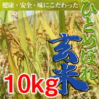 【23年度】ひとめぼれ　玄米【10kg】