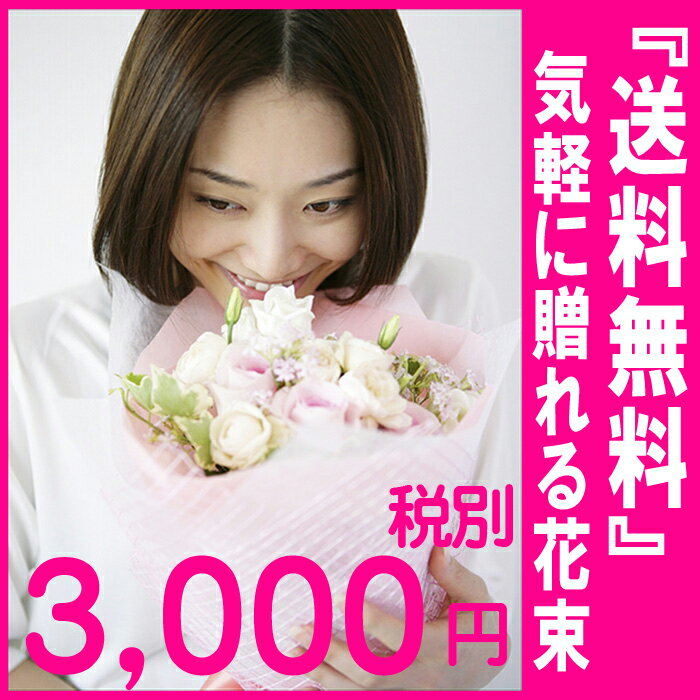 気軽に贈れる花束 本州は送料無料 長さ約25cm 誕生日 結婚記念日 発表会 お見舞い あ…...:hanashinwa:10002260