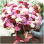 バラ 100本バラ花束 バラ108本花束 誕生日プレゼント女性 プロポーズの花