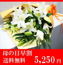 カサブランカ 花束 誕生日 送料無料 母の日 花 プレゼント 花 ギフト お祝い フラワー ギフト 誕生日プレゼント 女性 還暦祝い 母 父 還暦祝いプレゼント 母 誕生日 プレゼント 還暦 古希 お祝い 米寿 お祝い 喜寿 プレゼント 母の日 早割 5,250円誕生日プレゼント 花 お祝い フラワーギフト 花束 誕生日 母の日 花 プレゼント フラワー 女性 還暦祝い プレゼント 還暦 古希 お祝い 米寿 お祝い 喜寿 プレゼント 