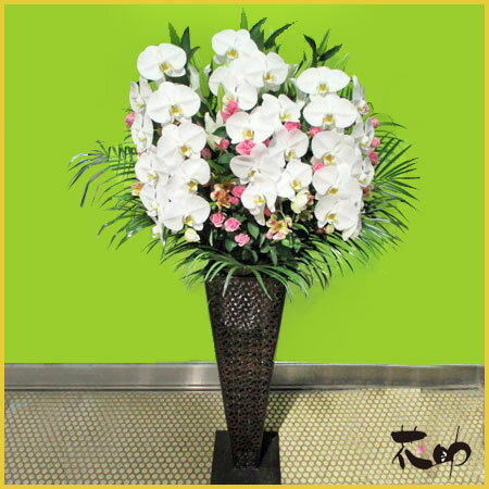 դ󥸡ŹʤɤˤƥꥢӥͥѤˤɤˡͤˤμȯԤǽǤڤб_͹̵٤롡ߥǥեɲ֡Τ֡28000ߡڳڥ_åϡۡڤб_ۡڤб_ÿۡۡڤб_Φۡڤб_쳤ۡڤб_ᵦۡڤб_ۡsmtb-TDۡsaitamaۡsmtb-kۡw3