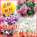 母の日ギフト 花助におまかせ 季節の花鉢 8000円 【あす楽対応_関東】【あす楽対応_甲信越】【あす楽対応_北陸】【あす楽対応_東海】【あす楽対応_近畿】【あす楽対応_中国】