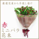 【花】フラワーコンシェルジュが厳選した花屋の赤いミニバラの花束 送料無料 ラッピング メッセージカード付き 【楽ギフ_メッセ入力】【楽ギフ_包装】