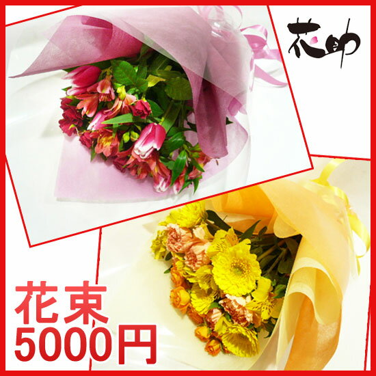 【花】フラワーコンシェルジュが厳選した花屋のお祝い花束　5000円　即日発送　送料無料【あ…...:hanasuke:10000059