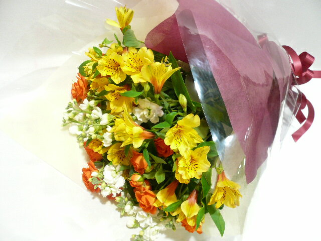 ȥ󥸤Τ襤ޤȤ᤿«ȯɽˤʤɤˤԤäꡣڤб_ۡڤб_ÿۡۡڤб_Φۡڤб_쳤ۡڤб_ᵦ۸̵Υ󥯥֡«̵åԥ󥰡åդ
