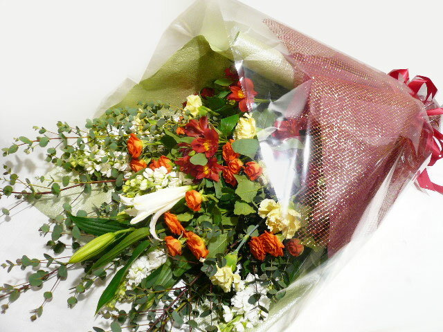 ˡ뺧ǰޤʤɤΤˤˤԤäβ«ڤб_ۡڤб_ÿۡۡڤб_Φۡڤб_쳤ۡڤб_ᵦ۸̵ˤˡΤ֤Ȥäܥ塼िäפʲ«̵դ̵1225