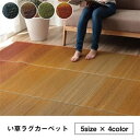 ラグ マット 小林製薬 持続性抗菌剤 制菌 抗菌防臭 滑り止め 不織布 夏 い草 『NCXクリア』 グリーン 約126×190cm