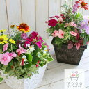 上品なウッドボックスの寄せ植え。「花うるる おまか