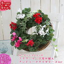 ガーデンシクラメンのリース寄せ植え【ヤシマットリースver】ワイヤーリース(ヤシ繊維) 花うるるロングセラーの人気リース型寄せ植え 冬 春までの寄せ植え ギフト 通販 楽天寄せ植えランキング1位