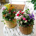 ナチュラル感たっぷり!かわいいポット型の寄せ植え 花うるる ...