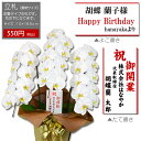 立札orメッセージカード【単品販売不可・胡蝶蘭と一緒にご購入...