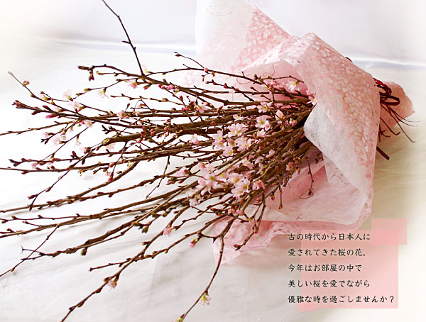 饵ʽˤ´ȽˤˤĶβ«­᤯Ǥָ