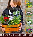 送料無料 寄せ植え ギフト 花色とプランターが選べる♪季節のおまかせカントリーガーデン?旬のお花をたっぷり寄せ植え!花 鉢植え 誕生日 プレゼント 新築祝い 開店祝い 花鉢 女性 母 祖母 おばあちゃん お祝い 玄関【画像配信】【メッセージカード付き】